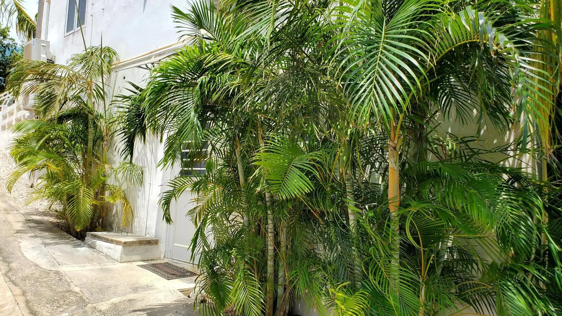 Grand Sun Valley Residences Willemstad Apartment
